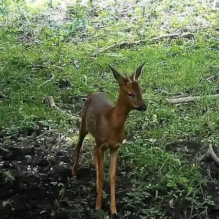 Semesterbostad La Grangette De Pauline Mercus-Garrabet