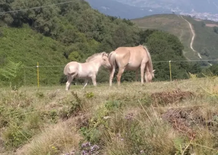 La Grangette De Pauline Mercus-Garrabet