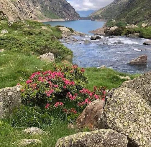 La Grangette De Pauline Nyaraló *