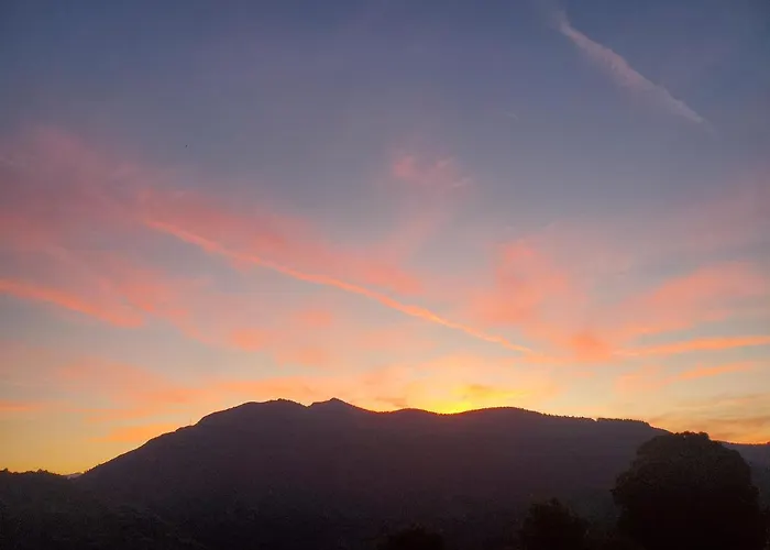 La Grangette De Pauline Nyaraló Mercus-Garrabet