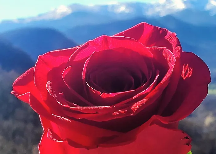 Dom wakacyjny La Grangette De Pauline