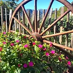 Holiday home La Grangette De Pauline Mercus-Garrabet