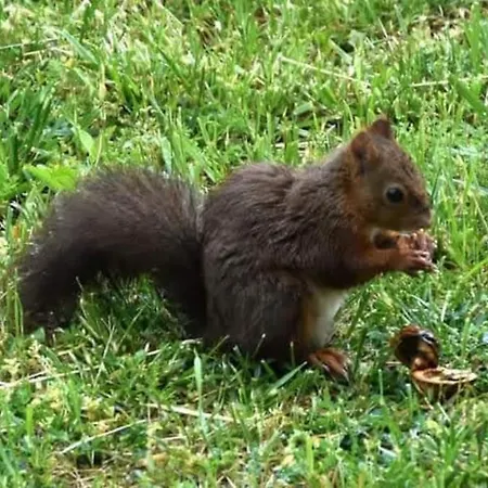 La Grangette De Pauline