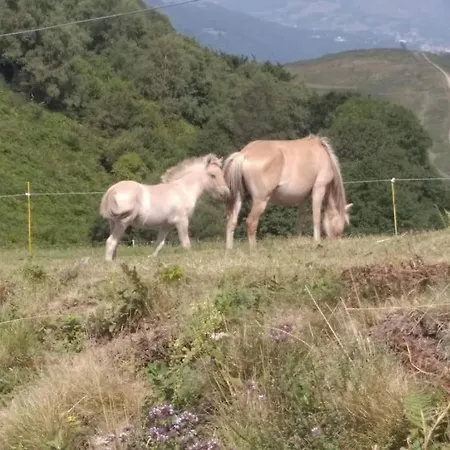 La Grangette De Pauline Mercus-Garrabet