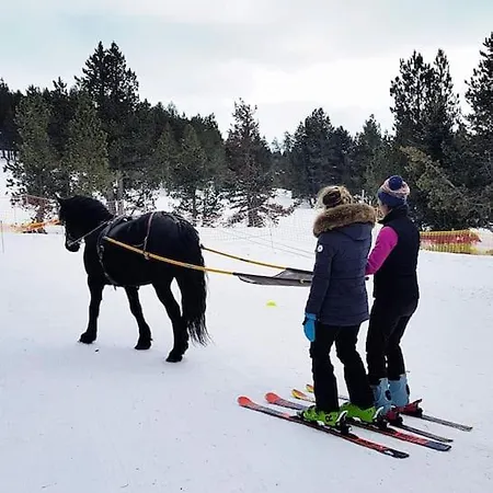 Hébergement de vacances La Grangette De Pauline