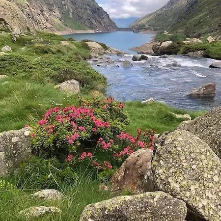 La Grangette De Pauline Hébergement de vacances *