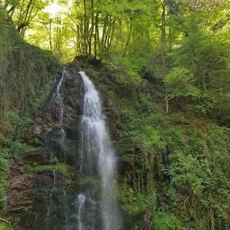 La Grangette De Pauline *