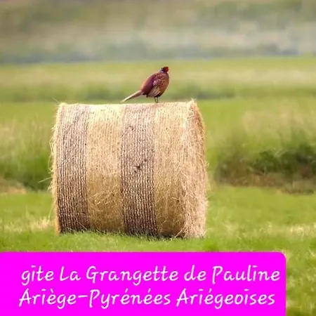 La Grangette De Pauline Holiday home Mercus-Garrabet