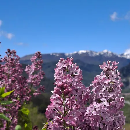La Grangette De Pauline Hébergement de vacances