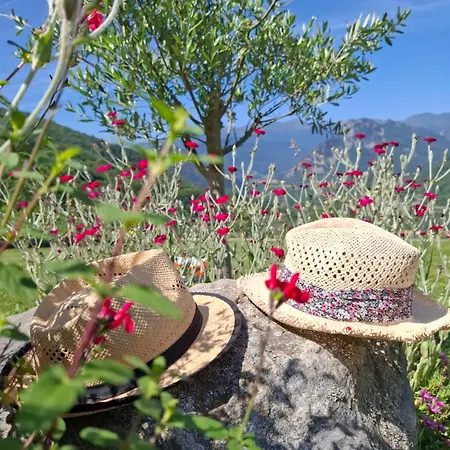 La Grangette De Pauline Hébergement de vacances Mercus-Garrabet