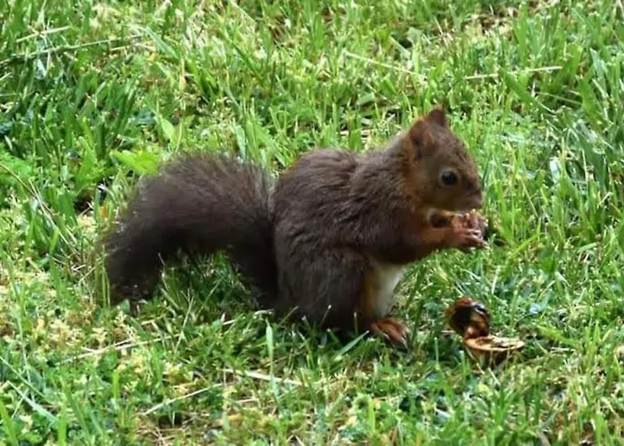 La Grangette De Pauline