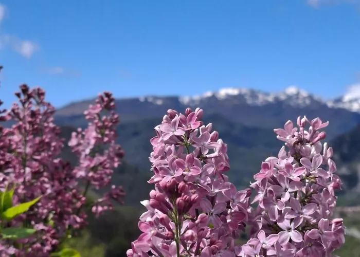 La Grangette De Pauline Tatil Evi